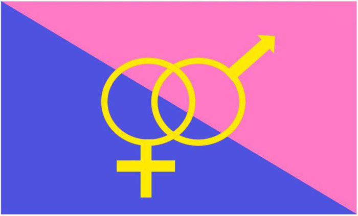 флаг гетеросексуалов