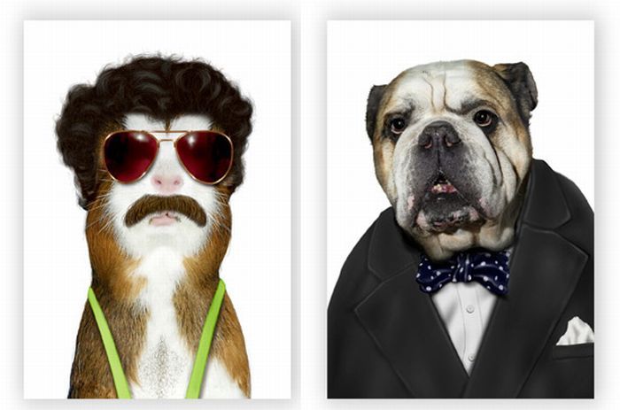 Человек зебра. Арт с превращением в животных. Красивые лица животных. Боди арт лиса. Животные инстинкты.