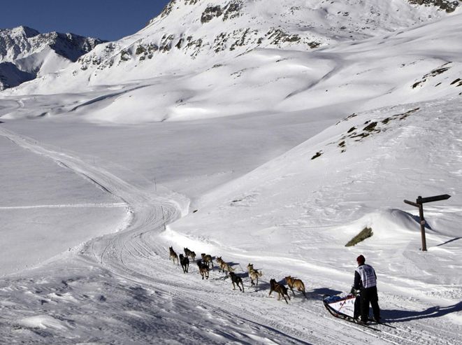 Гонки на собачьих упряжках в Альпах