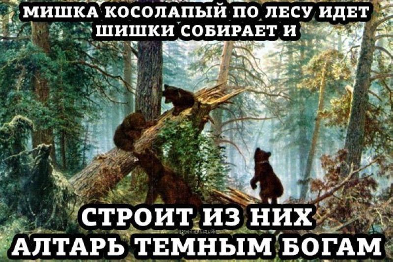 Пошли в лес