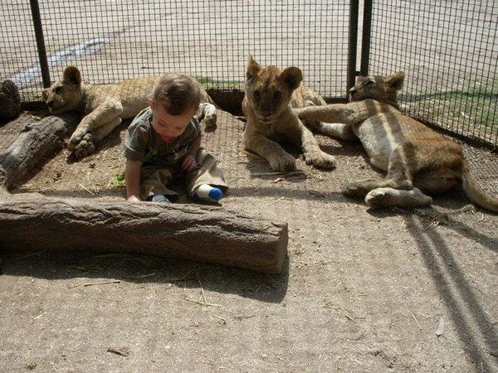 Зоопарк Lujan Zoo в Аргентине где можно заходить в клетки