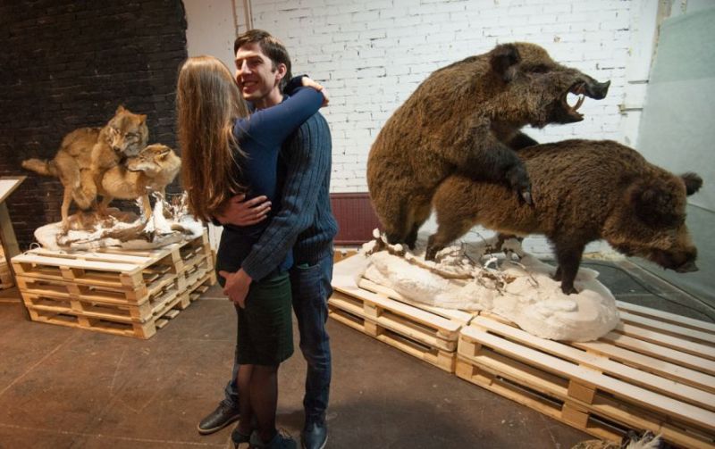 Выставка о сексе животных в Петербурге