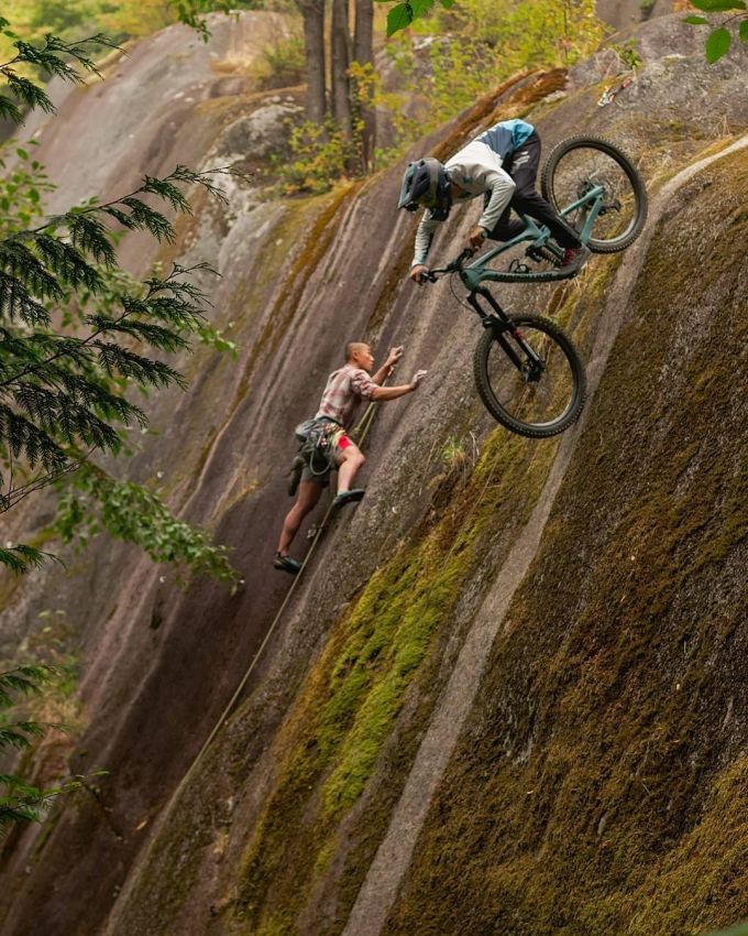 Сборная солянка