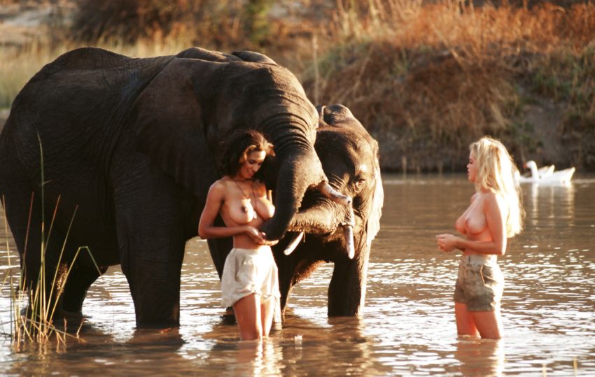 Слоны и девушки