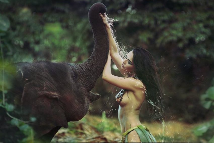 Слоны и девушки