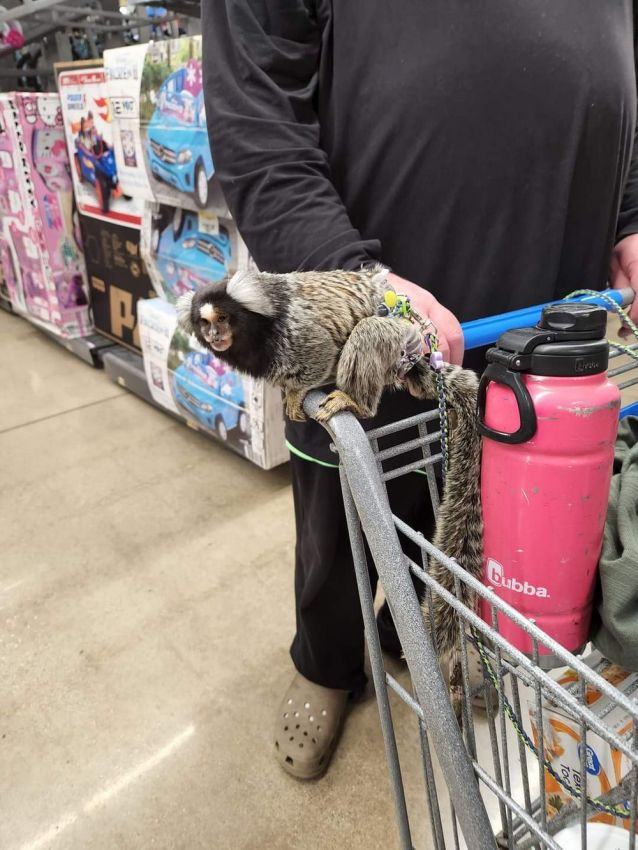 Walmart 