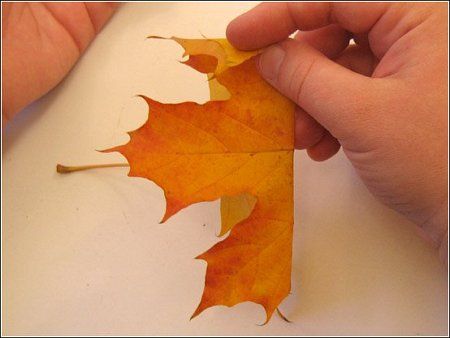 Как сделать букет из листьев