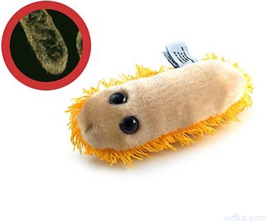 Плюшевые микробы